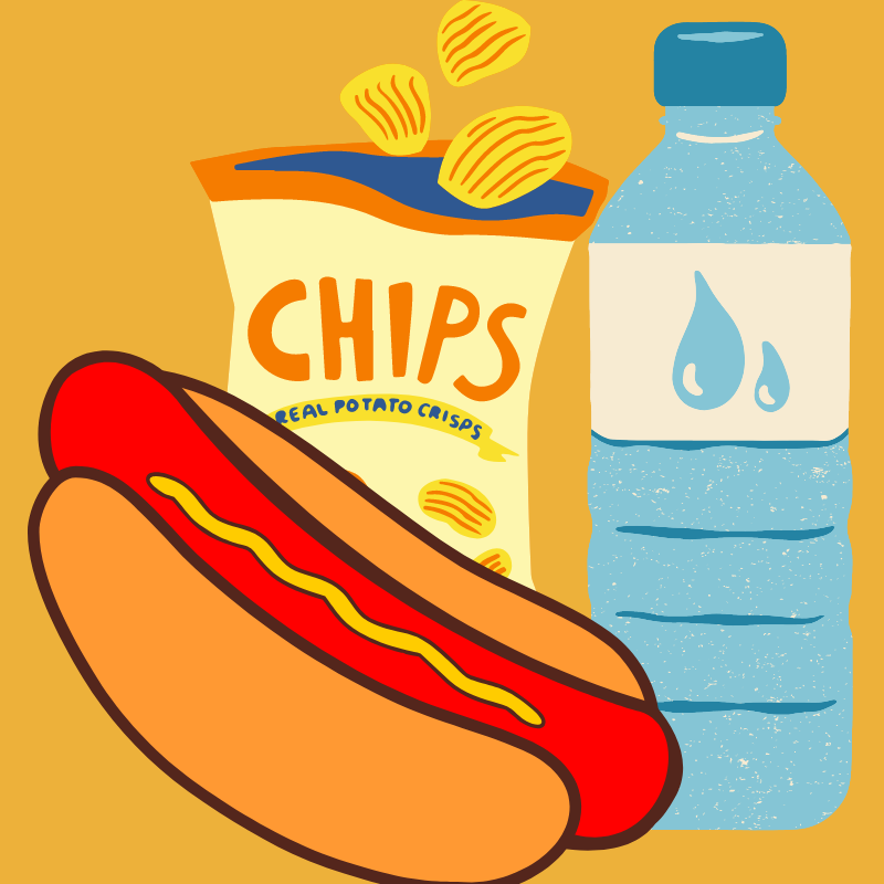 Hot dog, water and chips